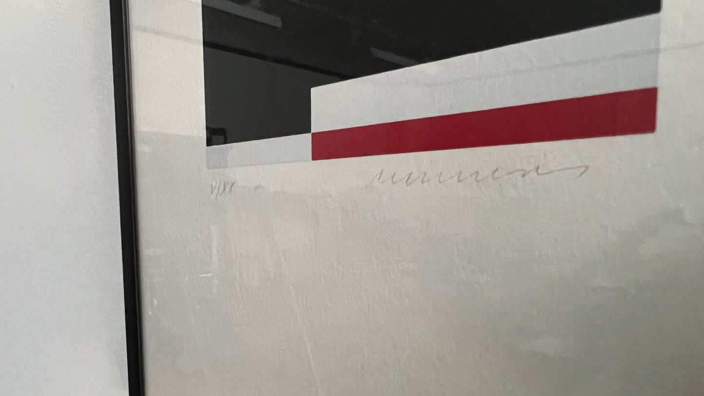 Jo Niemeyer (b. 1946) Lithograph No. V/XX