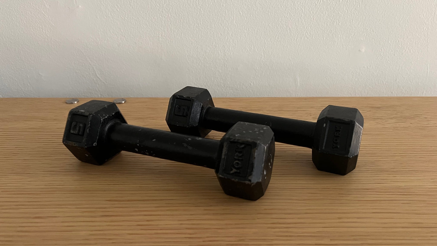 Vintage Athletic Weights by York