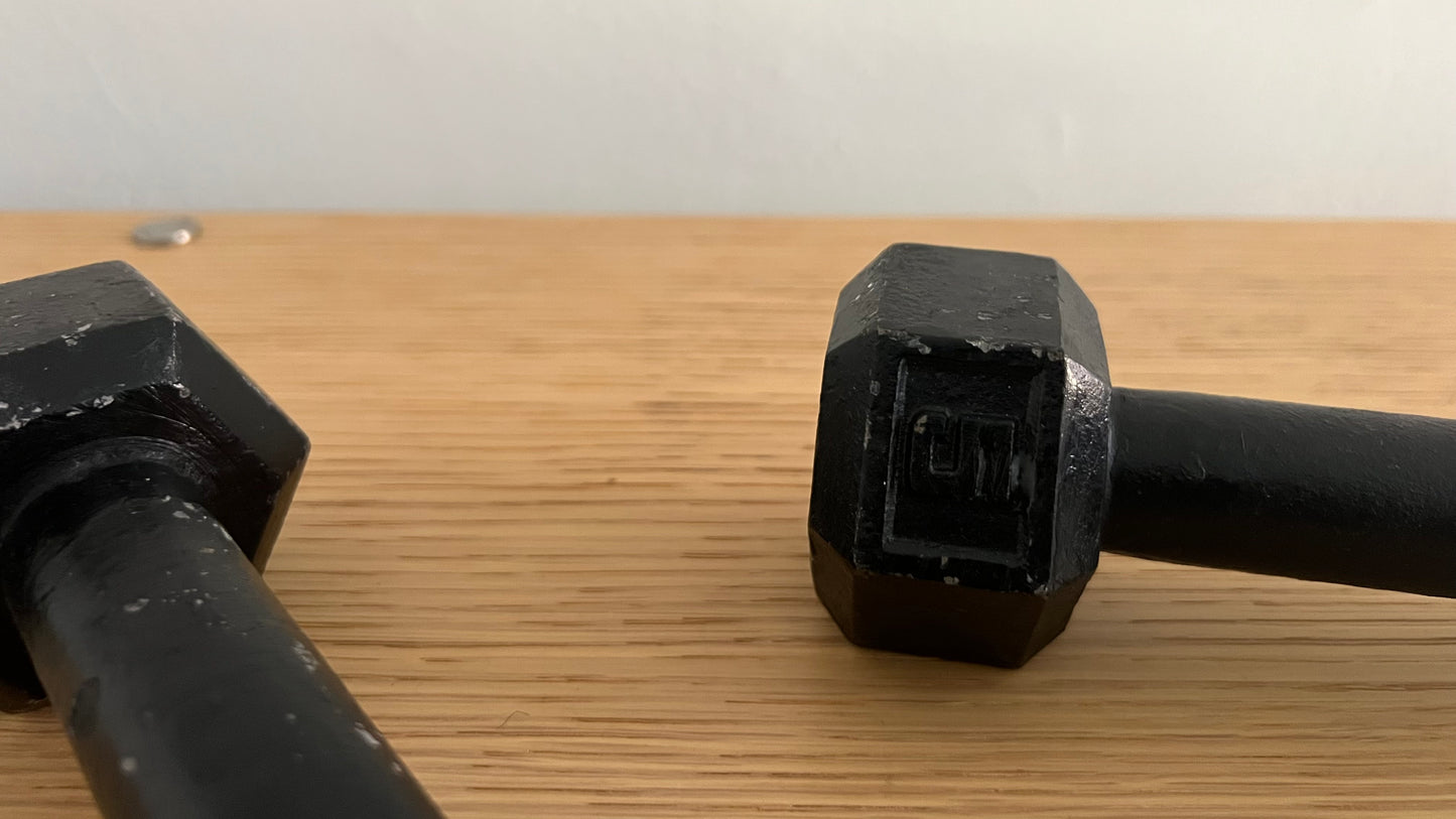 Vintage Athletic Weights by York